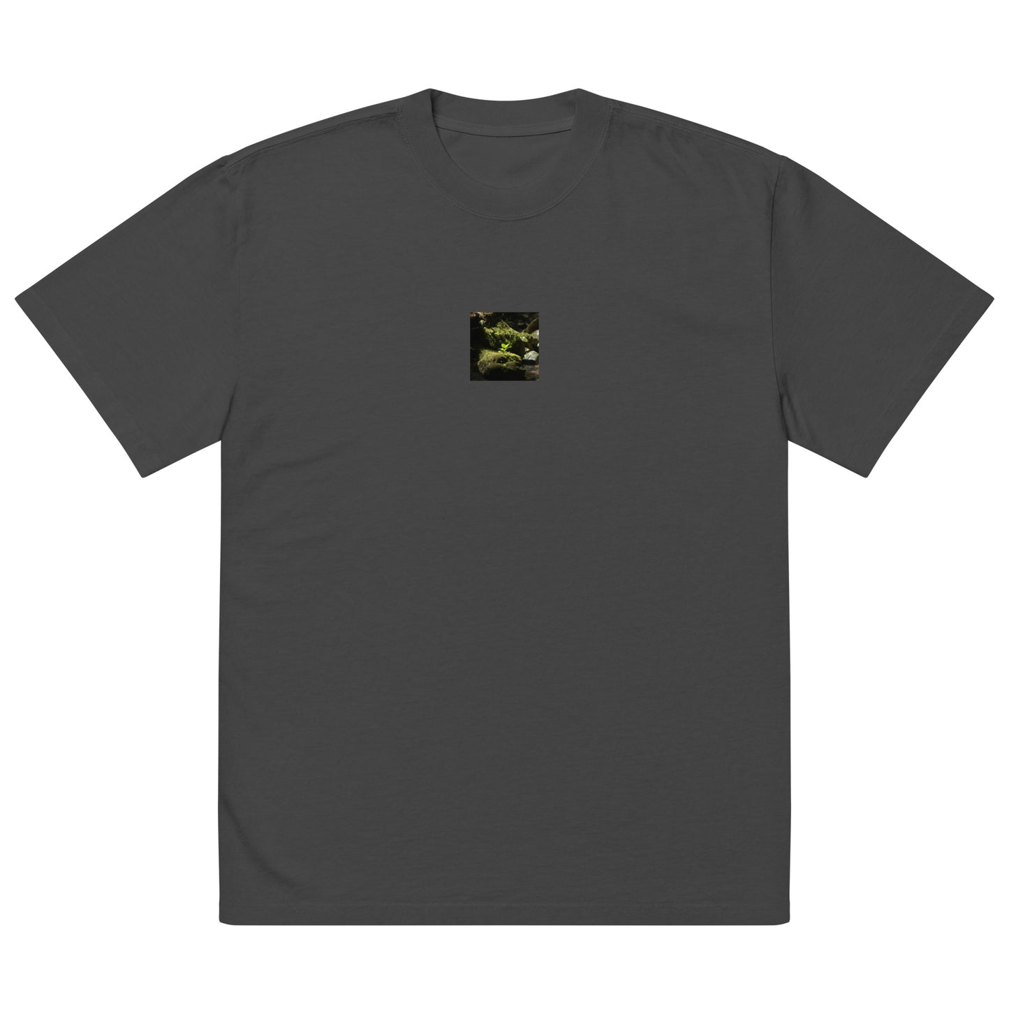 Plant on a Rock Art – Oversized Faded T-Shirt, Faded Black, Front View