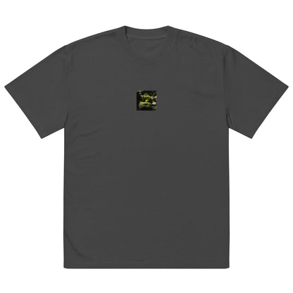Plant on a Rock Art – Oversized Faded T-Shirt, Faded Black, Front View