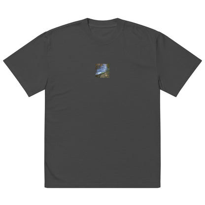 Drifted Leaf - Oversized Faded T-Shirt Faded Black