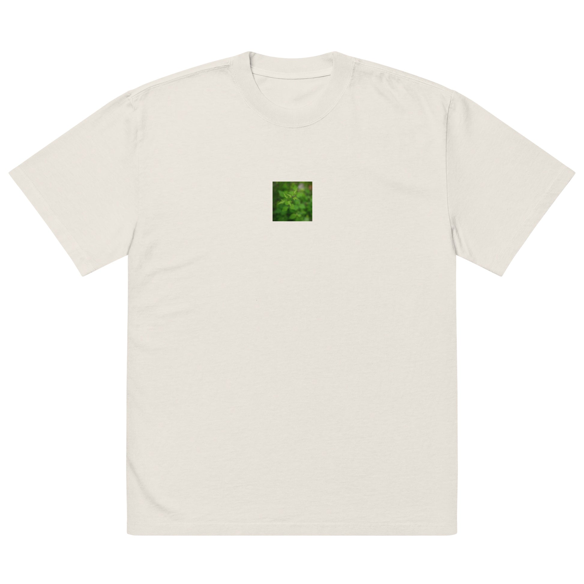Botanical Plant Art – Oversized Faded T-Shirt, Faded Bone, Front View
