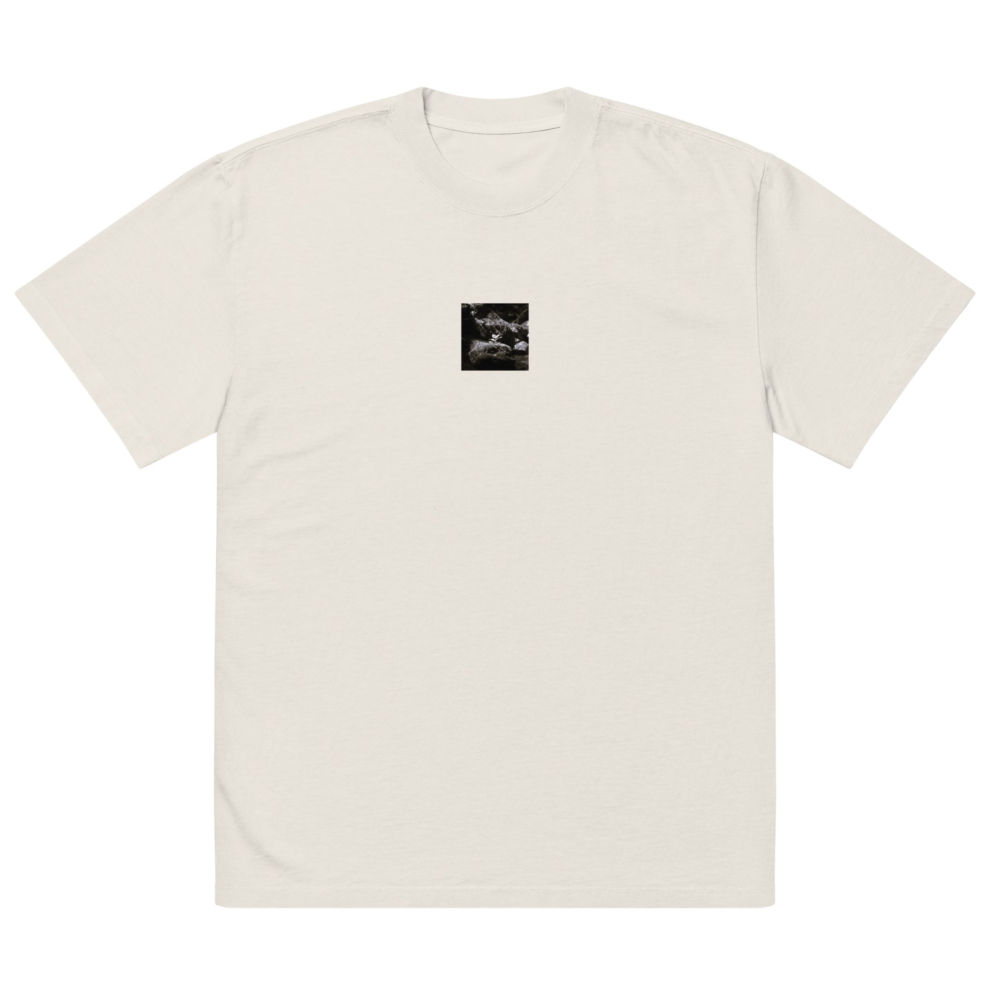 Plant on a Rock (B&W) Art – Oversized Faded T-Shirt, Faded Bone, Front View