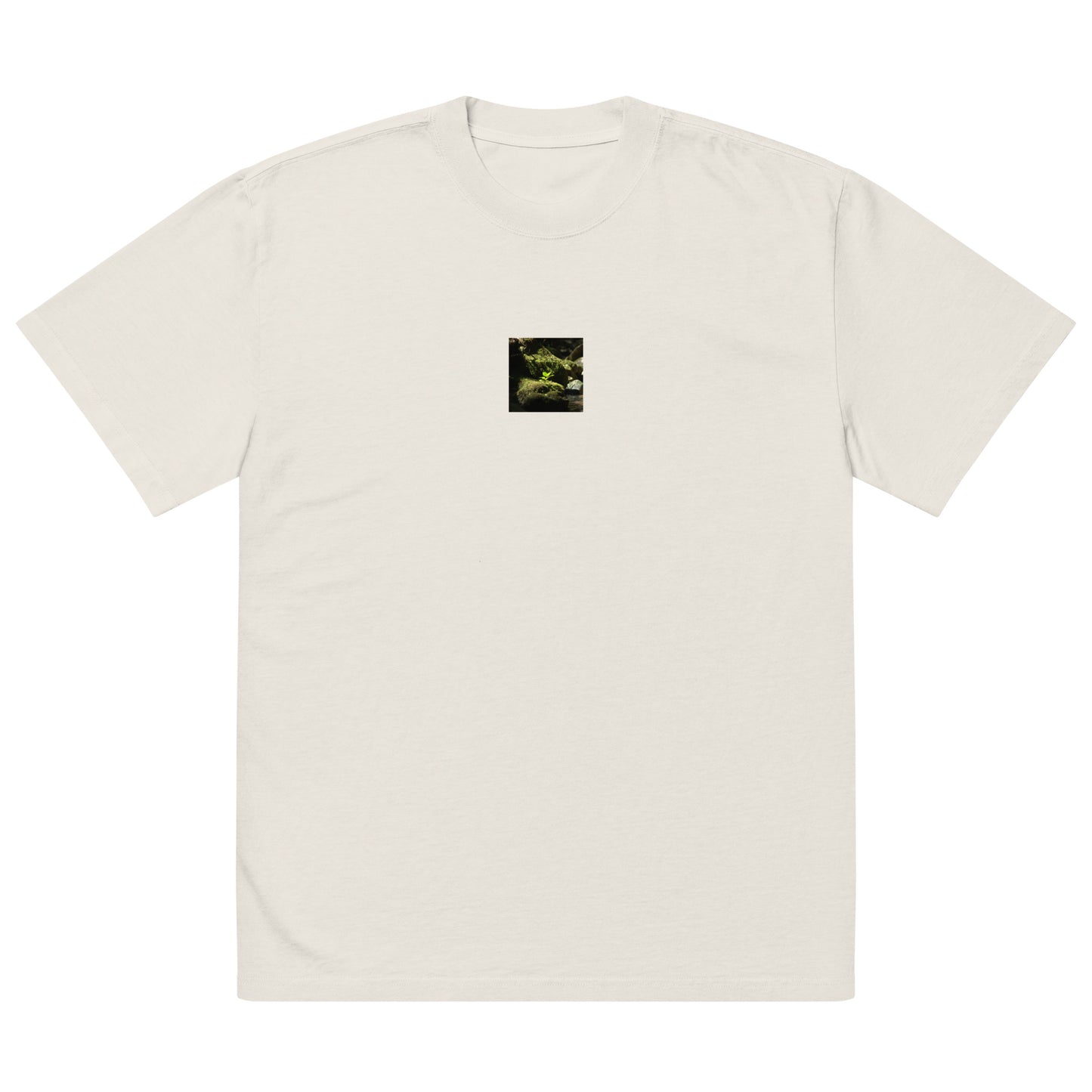 Plant on a Rock Art – Oversized Faded T-Shirt, Faded Bone, Front View