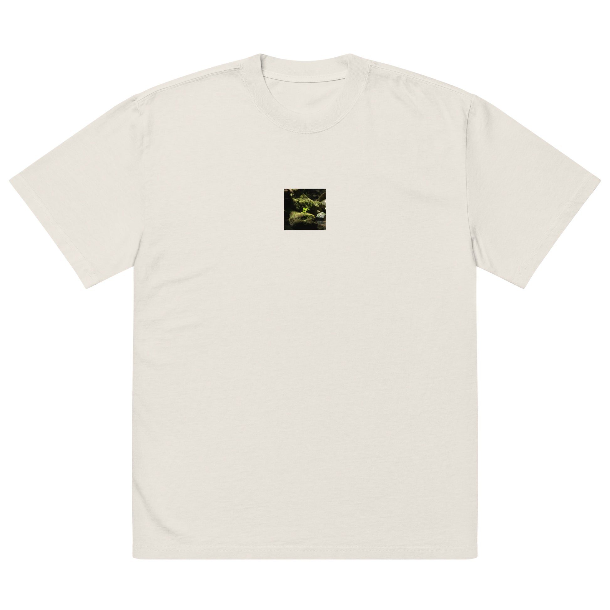 Plant on a Rock Art – Oversized Faded T-Shirt, Faded Bone, Front View