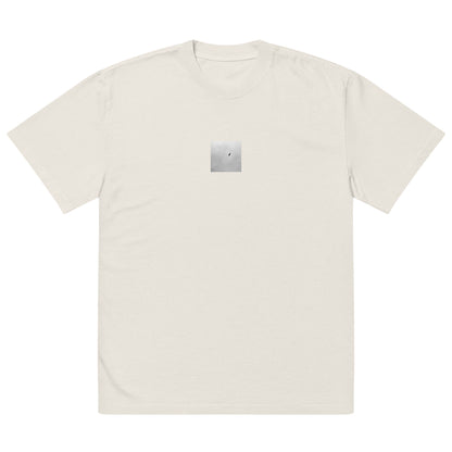 Minimalist streetwear style unisex oversized faded T-shirt in washed bone, featuring a 'Bird and Sky (B&W)' photograph print. / Bird and Sky (B&W) オーバーサイズ・フェードTシャツ（フェードボーン）：清潔感ある生成り色のヴィンテージ加工。鳥と空のモノクロ風景が際立つモードストリート系Tシャツ。