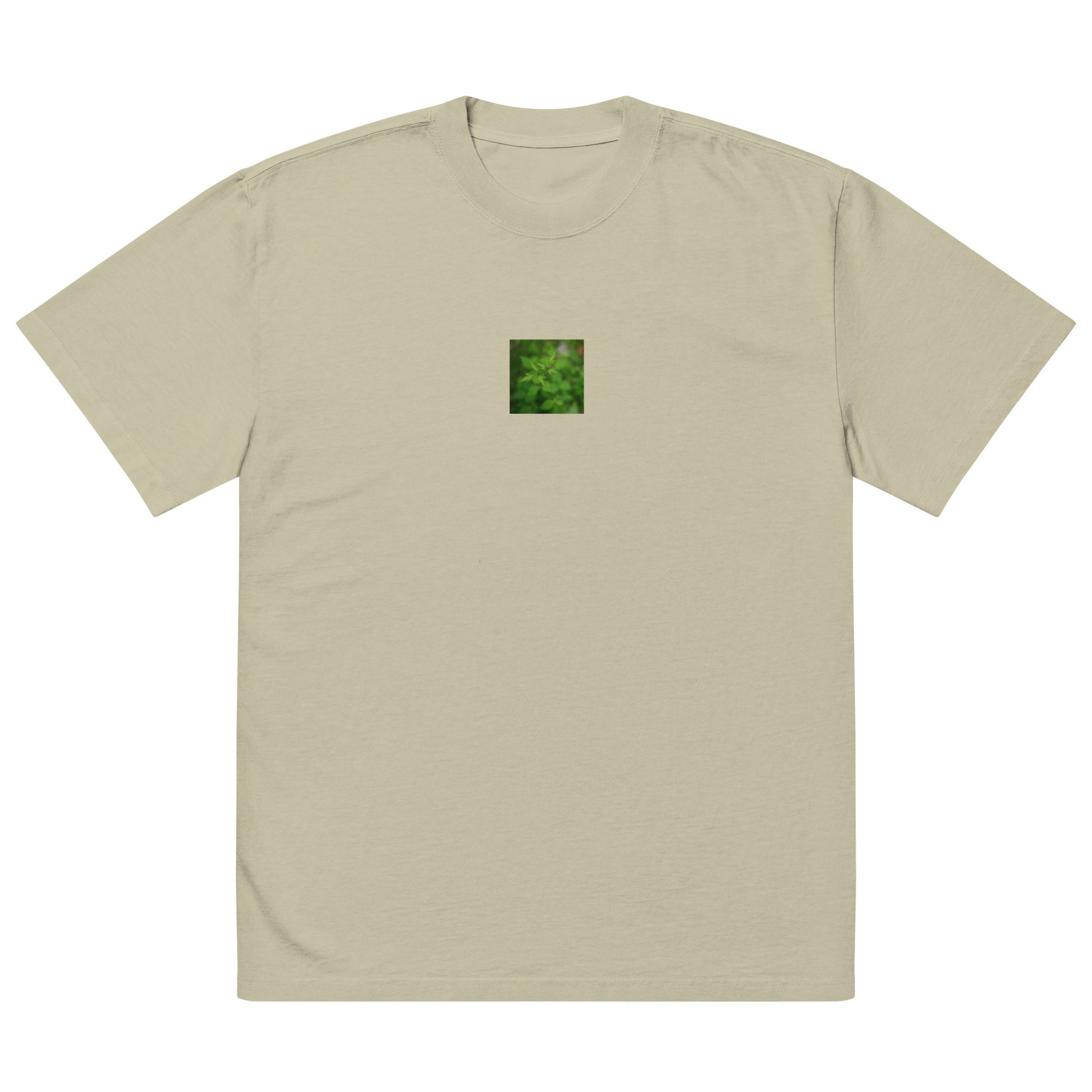 Botanical Plant Art – Oversized Faded T-Shirt, Faded Eucalyptus, Front View
