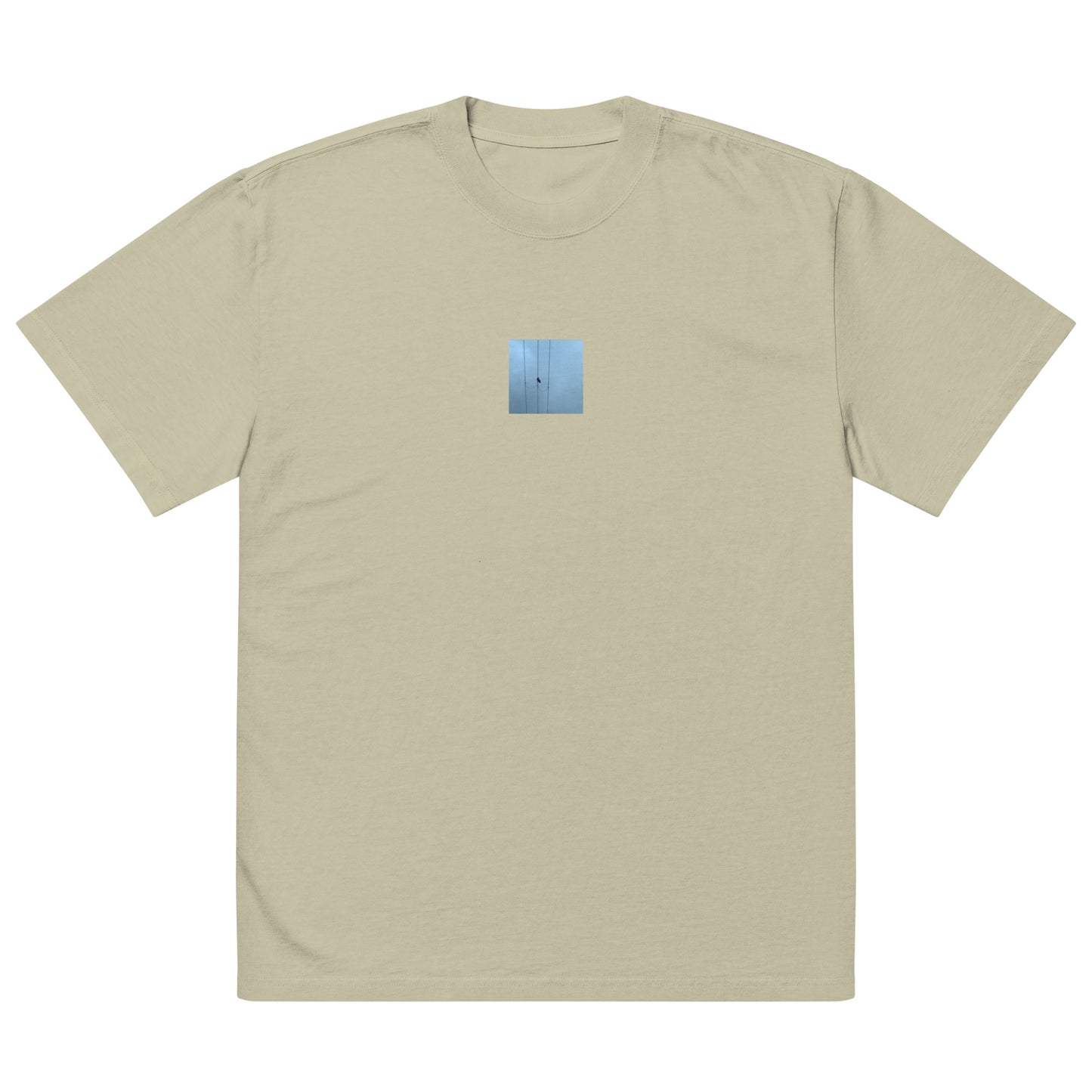 Crow and Power Lines Art – Oversized Faded T-Shirt, Faded Eucalyptus, Front View