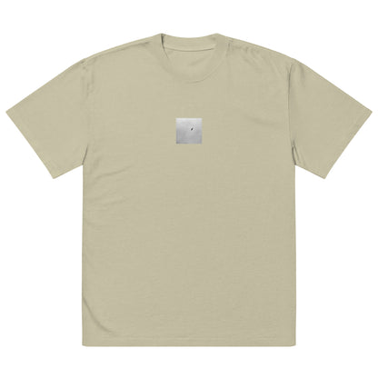 Minimalist streetwear style unisex oversized faded T-shirt in washed eucalyptus, featuring a 'Bird and Sky (B&W)' photograph print. / Bird and Sky (B&W) オーバーサイズ・フェードTシャツ（フェードユーカリプタス）：洗練された色味のウォッシュ加工済み。ミニマリストのためのモダンなモードストリート系Tシャツ。
