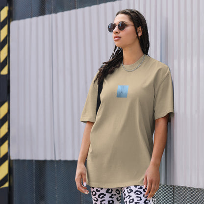 Crow and Power Lines Art – Oversized Faded T-Shirt, Faded Khaki, Front View