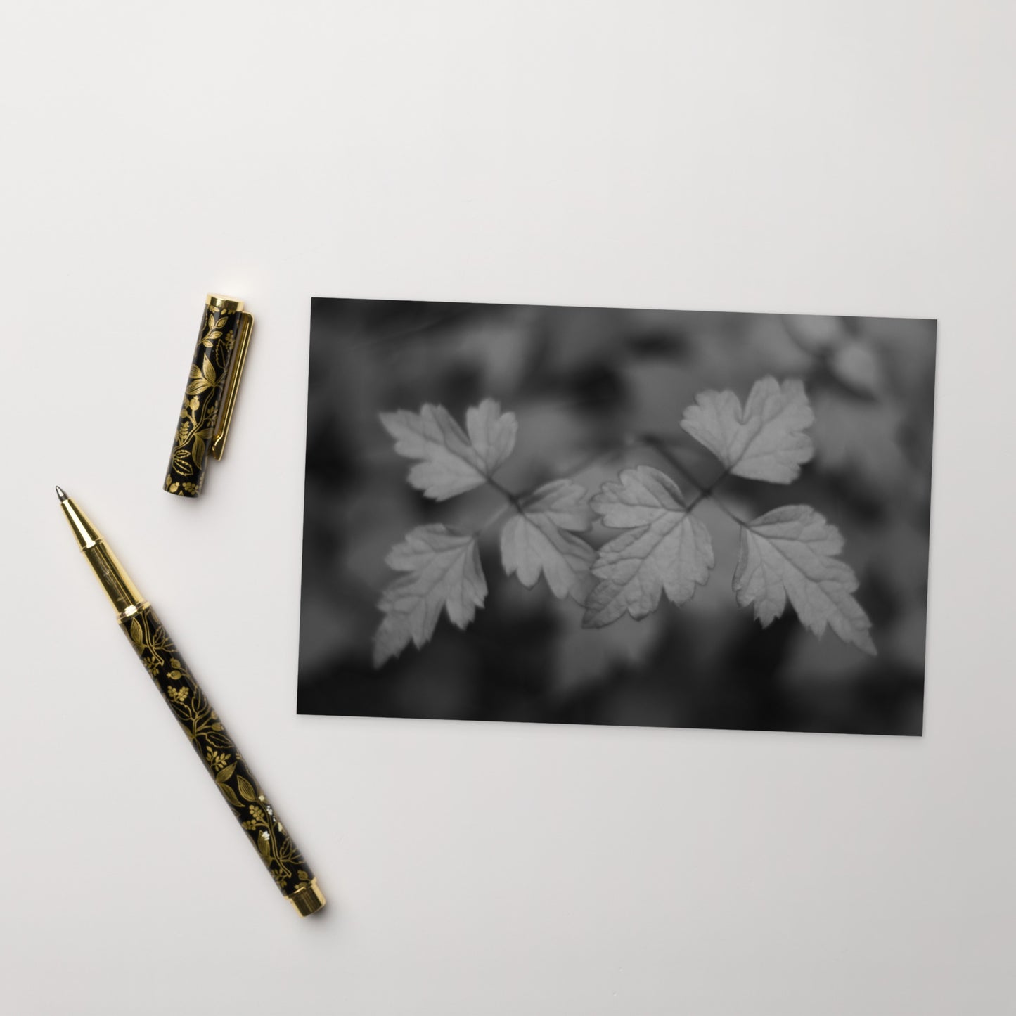 Minimalist mode style postcard featuring a 'plant' black and white botanical art print / モードストリート系デザインのポストカード、「植物」のモノクロアートプリント（アートカード）