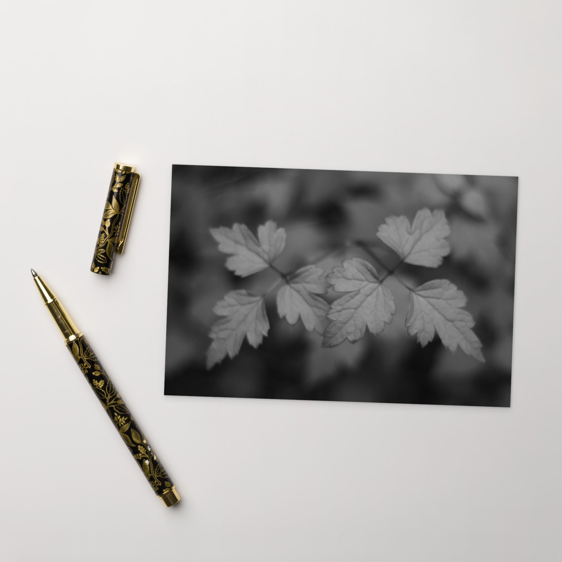 Minimalist mode style postcard featuring a 'plant' black and white botanical art print / モードストリート系デザインのポストカード、「植物」のモノクロアートプリント（アートカード）