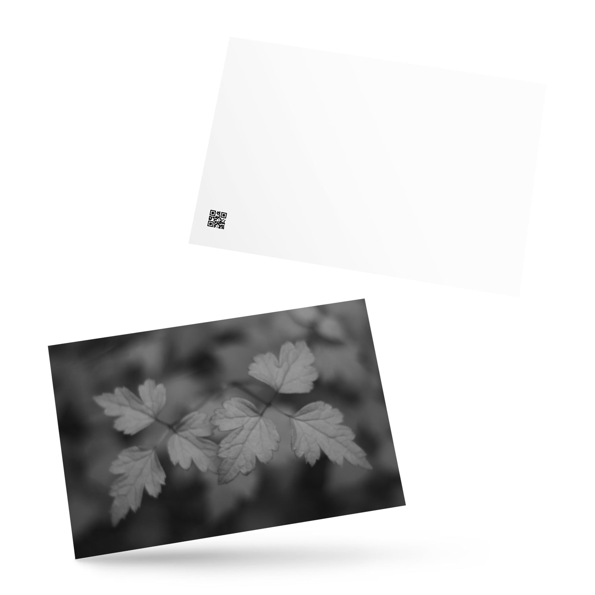 Minimalist mode style postcard featuring a 'plant' black and white botanical art print / モードストリート系デザインのポストカード、「植物」のモノクロアートプリント（アートカード）
