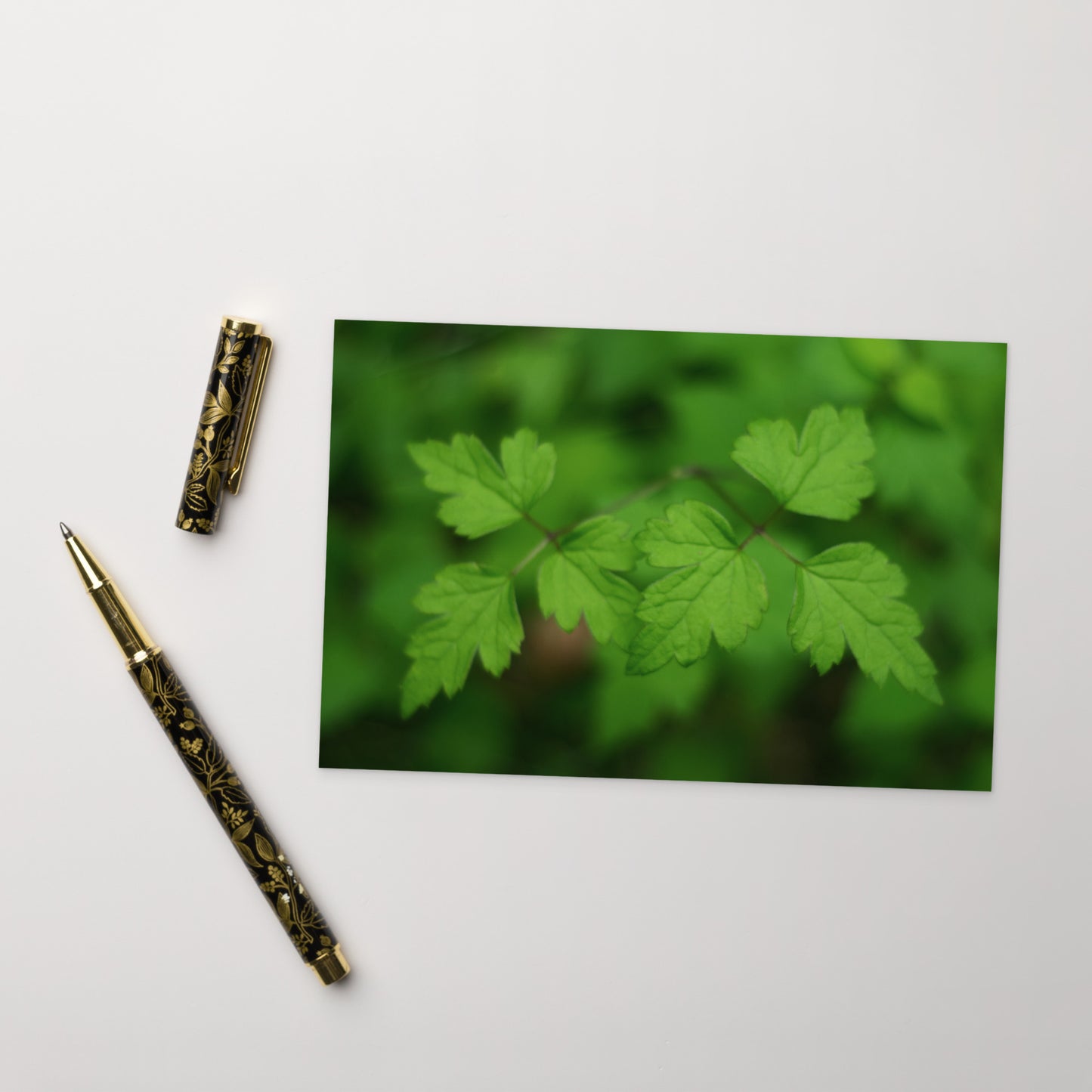 Botanical plants art postcard 4x6 in, monochrome print – seiartinc
