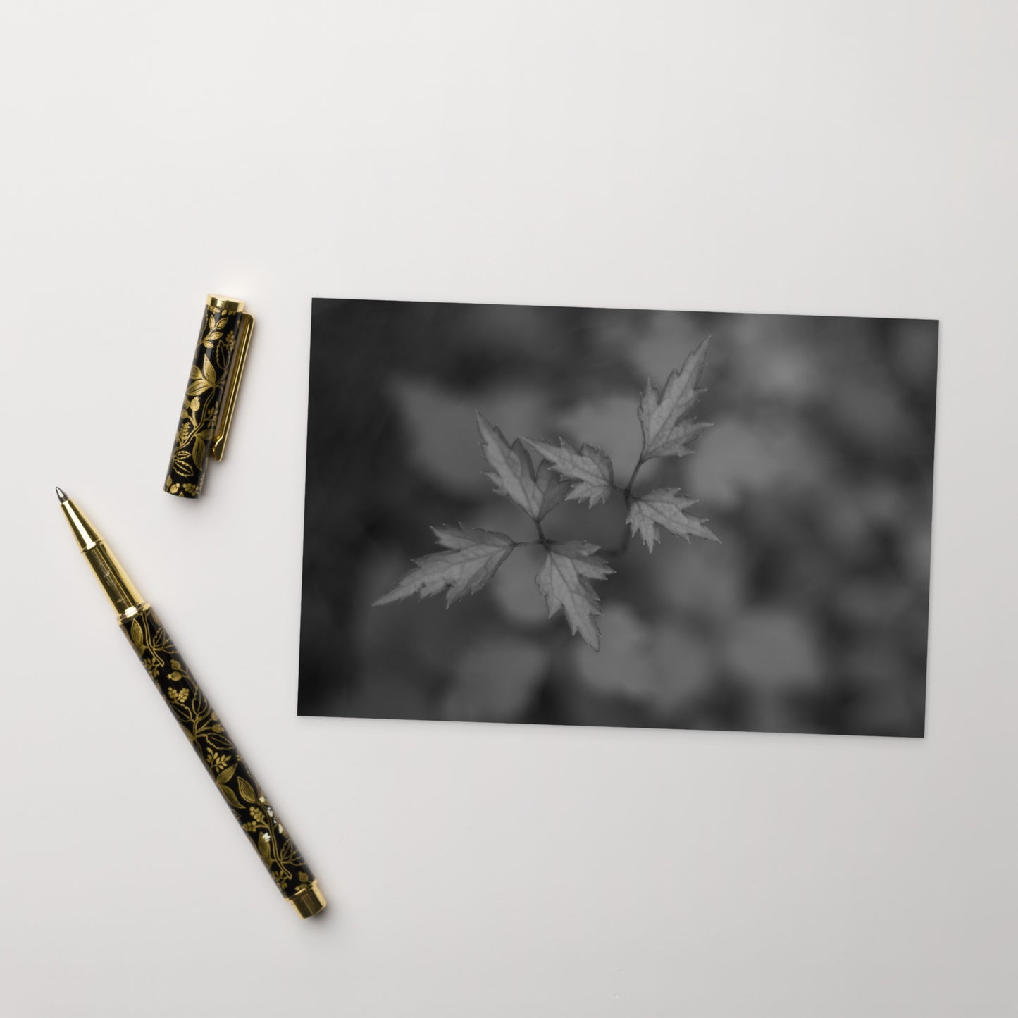 Botanical Plant B&W Art – Standard Postcard 4x6, Front View
