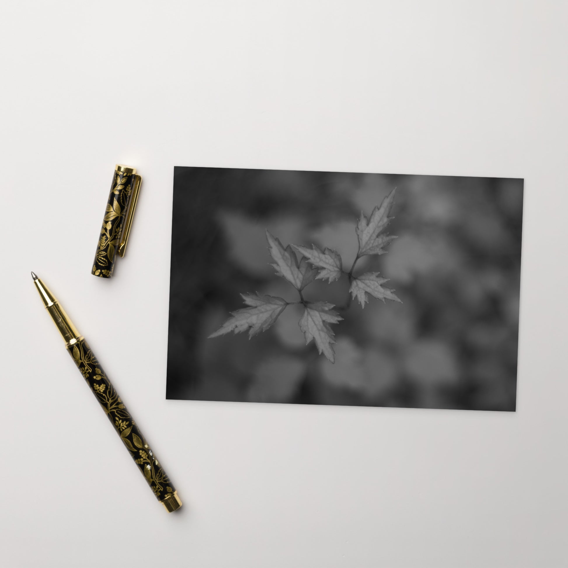 Botanical Plant B&W Art – Standard Postcard 4x6, Front View
