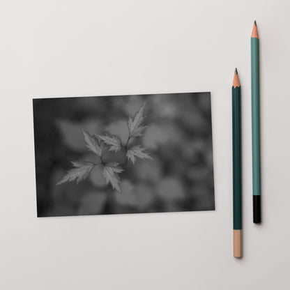 Botanical Plant B&W Art – Standard Postcard 4x6, Front View
