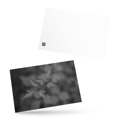 Botanical Plant B&W Art – Standard Postcard 4x6, Front View
