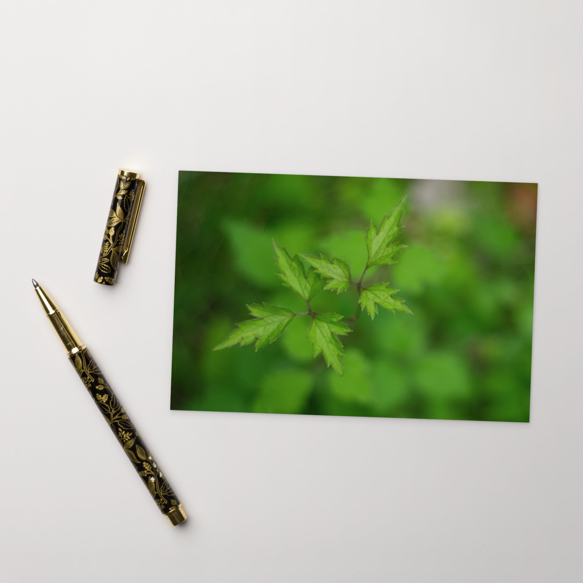 Botanical Plant Art – Standard Postcard 4x6, Front View
