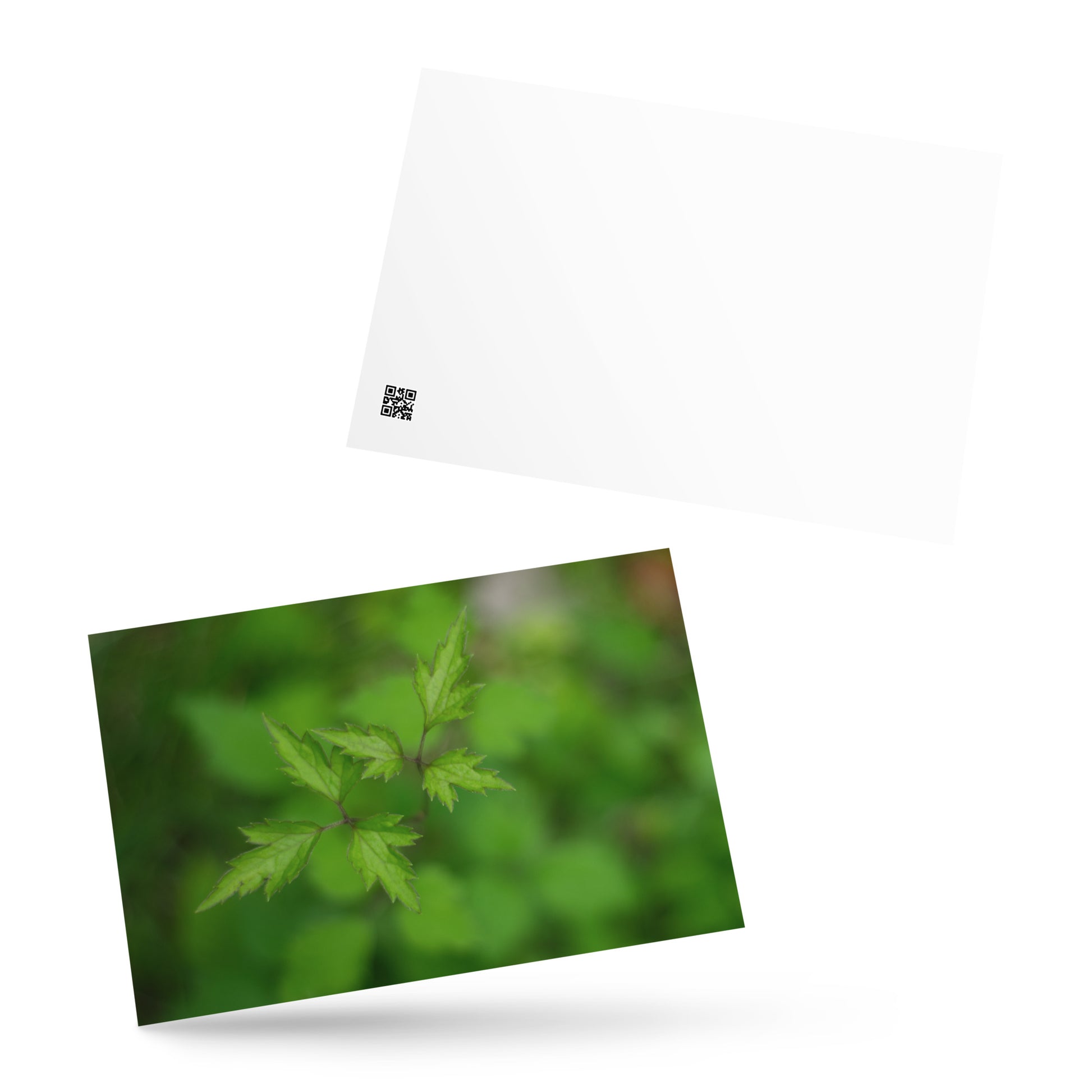 Botanical Plant Art – Standard Postcard 4x6, Front View
