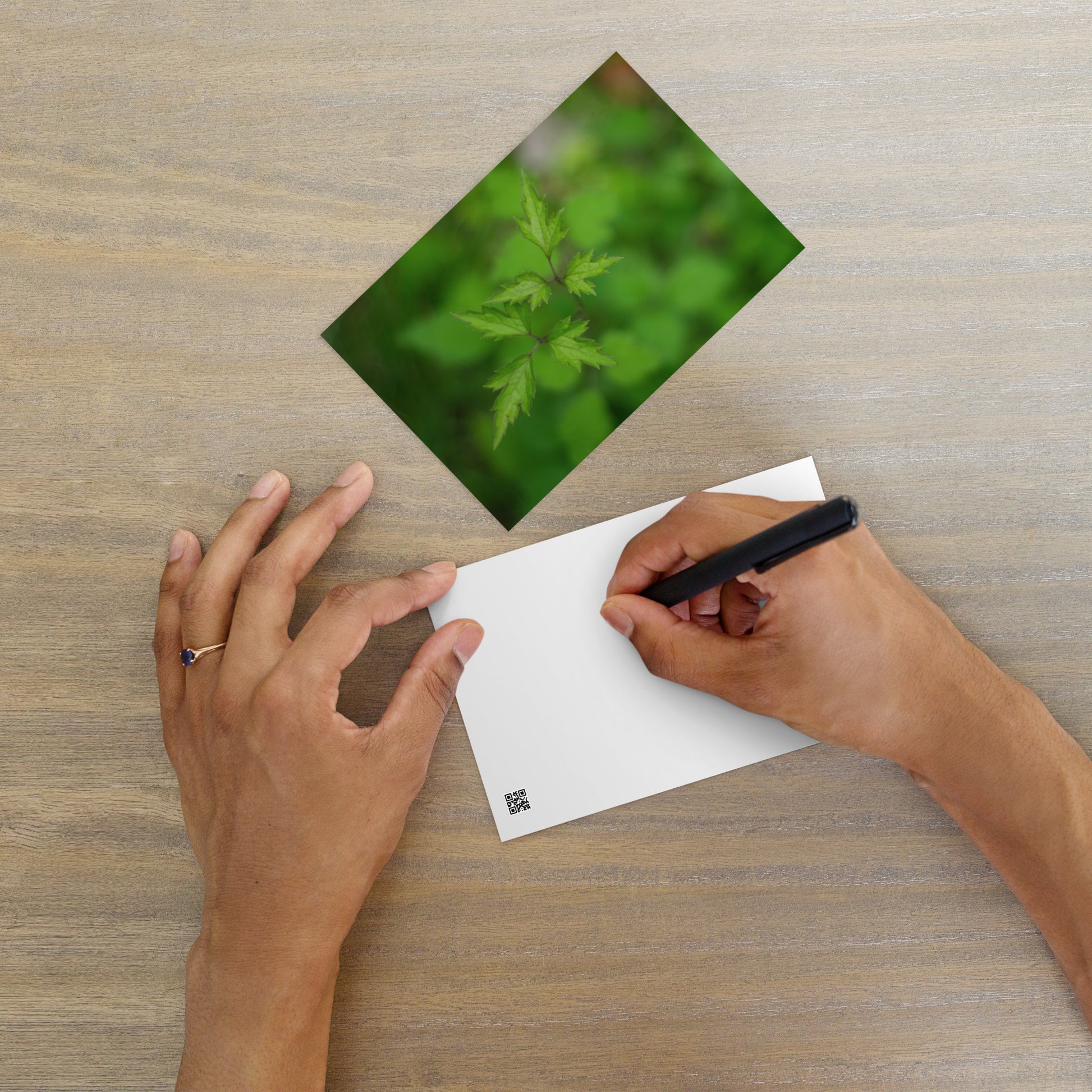 Botanical Plant Art – Standard Postcard 4x6, Front View
