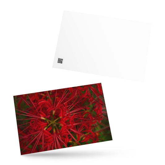 Red Spider Lily Botanical Art – Standard Postcard 4x6, Front View