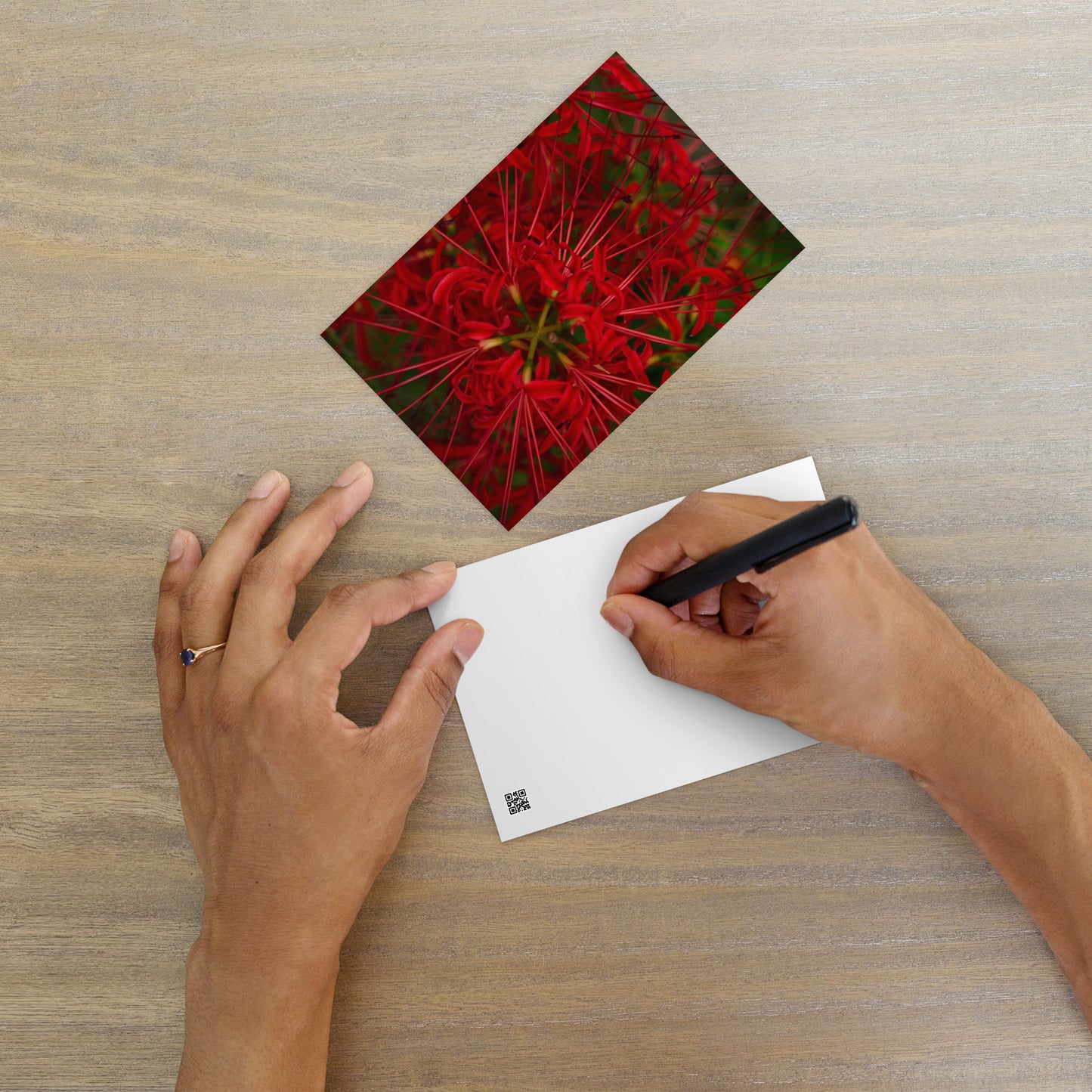 Red Spider Lily Botanical Art – Standard Postcard 4x6, Front View
