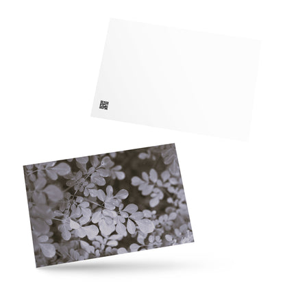 Matsukazesou Botanical B&W Art – Premium Matte Postcard 4x6, Lifestyle View