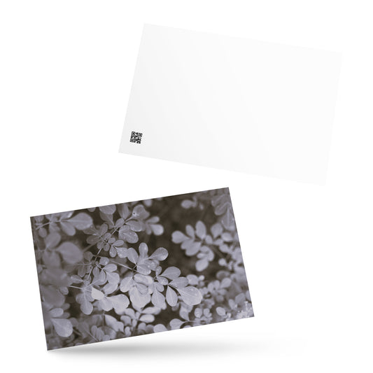 Matsukazesou Botanical B&W Art – Premium Matte Postcard 4x6, Lifestyle View