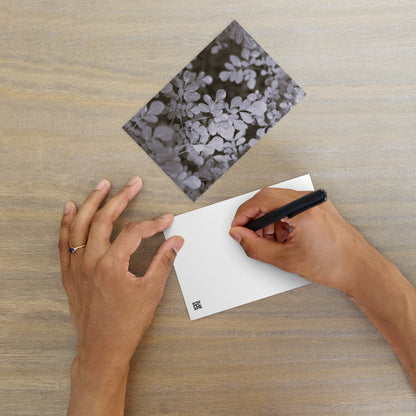Matsukazesou Botanical B&W Art – Premium Matte Postcard 4x6, Lifestyle View