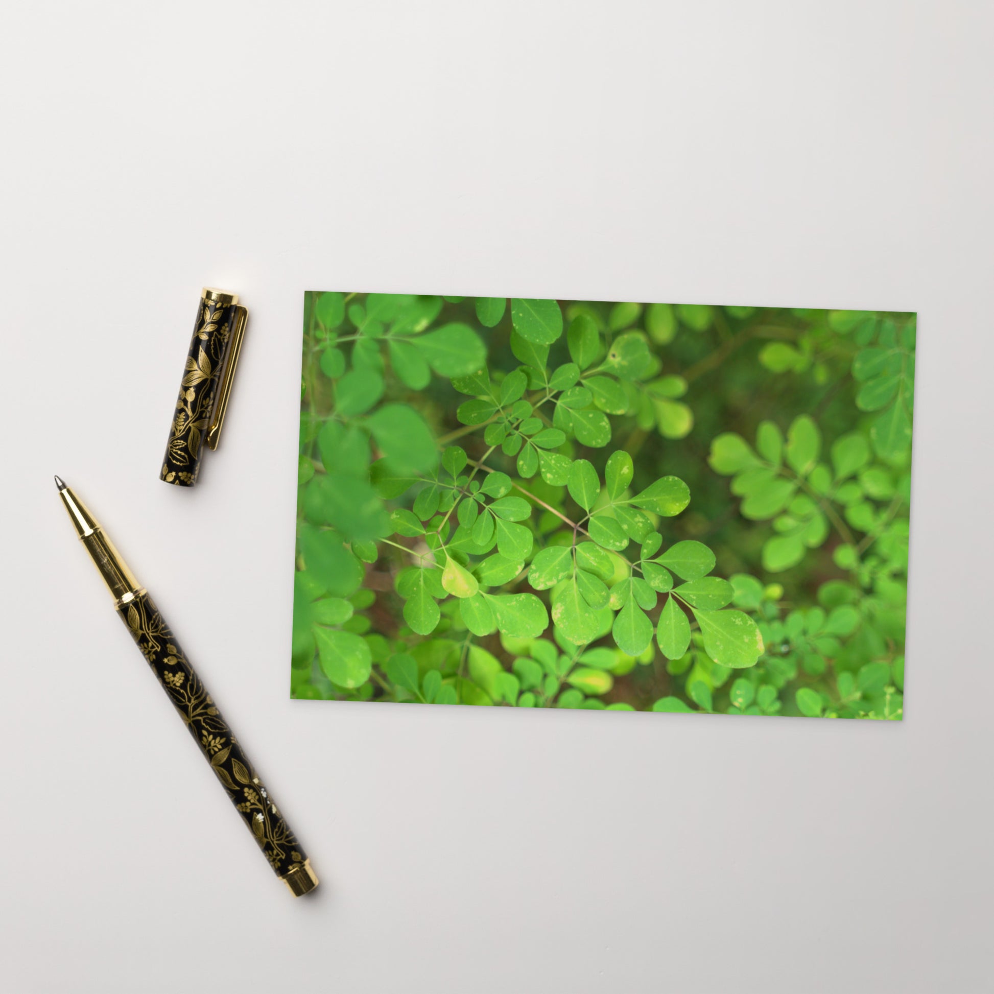 Matsukazesou Botanical Art – Premium Matte Postcard 4x6, Lifestyle View