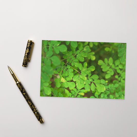 Matsukazesou Botanical Art – Premium Matte Postcard 4x6, Lifestyle View