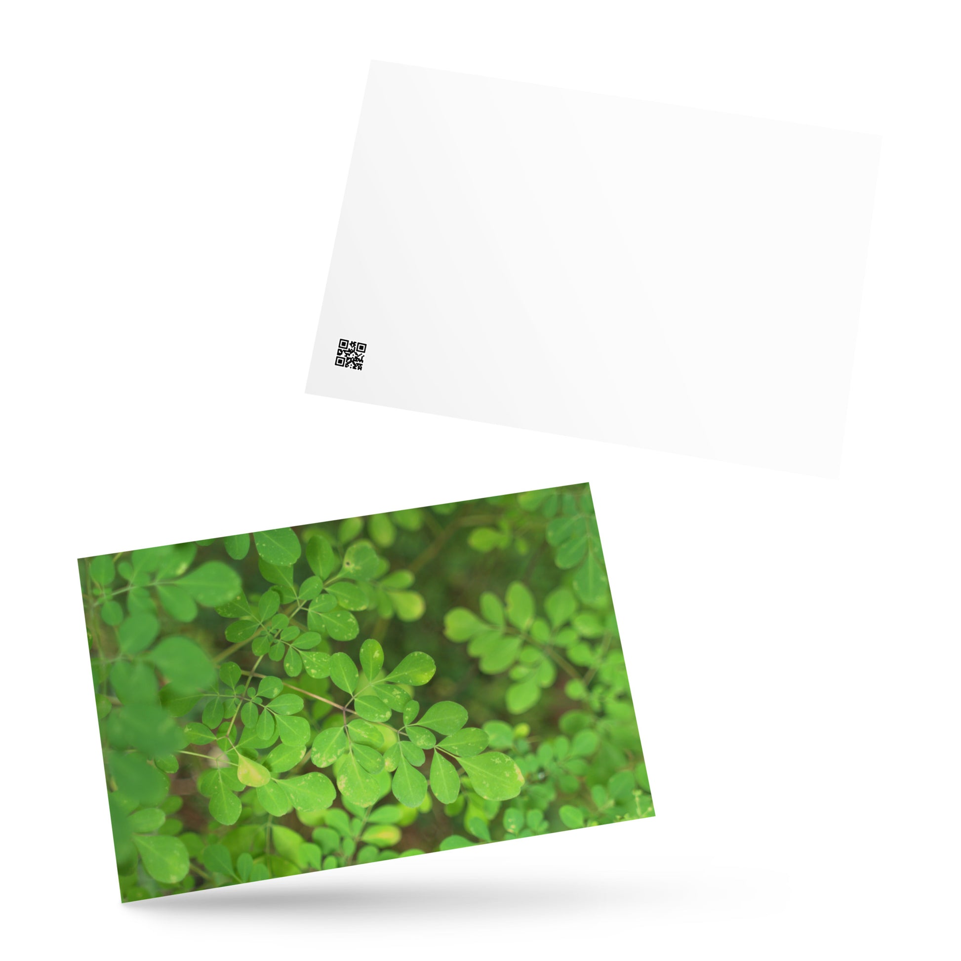 Matsukazesou Botanical Art – Premium Matte Postcard 4x6, Lifestyle View