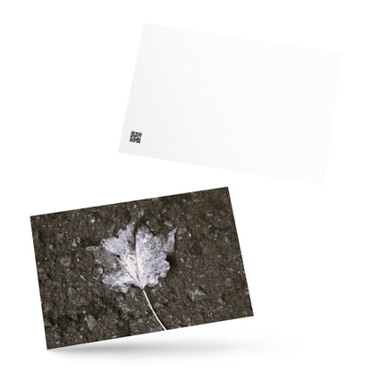 Maple Leaf Botanical B&W Art – Premium Matte Postcard 4x6, Lifestyle View