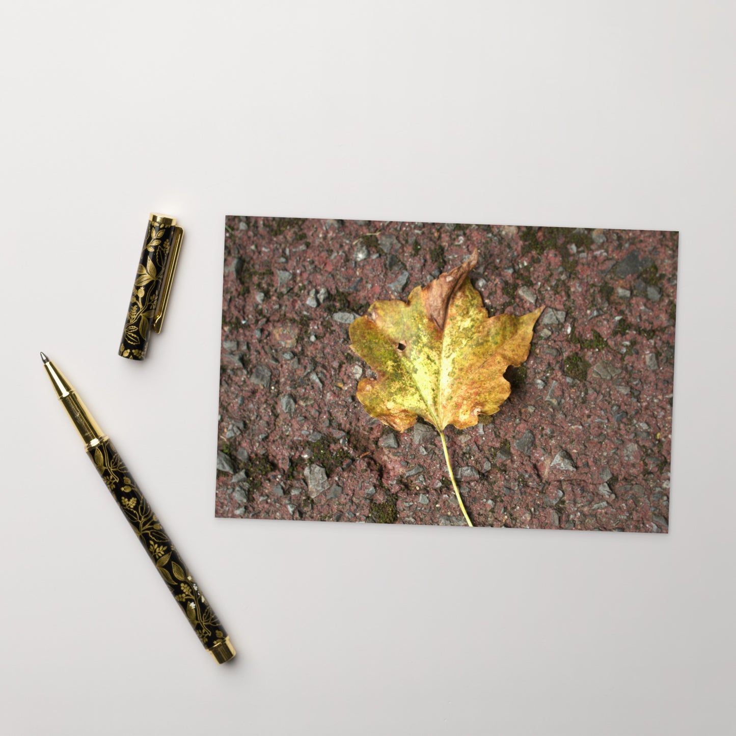Maple Leaf Botanical Art – Framed Matte Paper Poster, White Frame, Front View