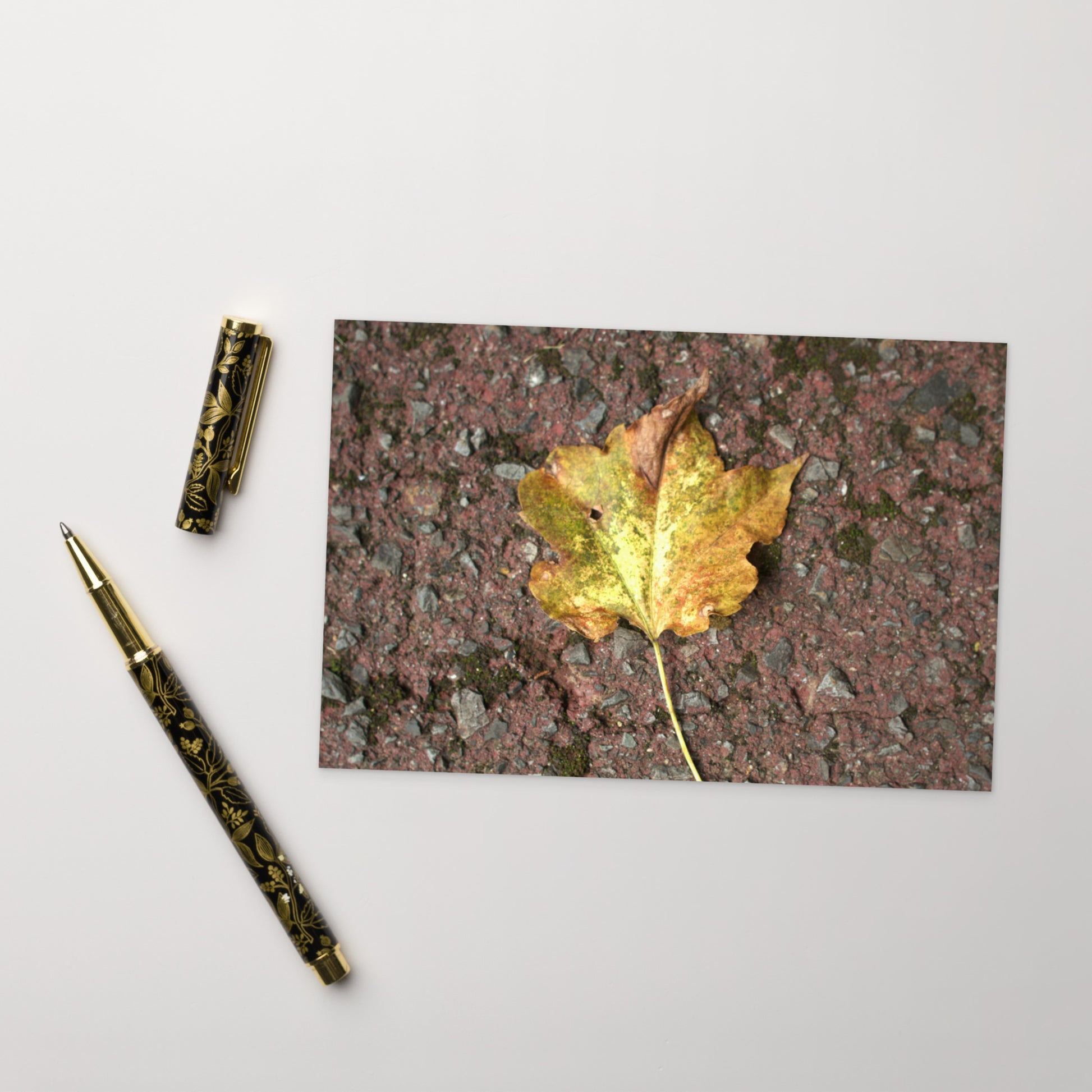 Maple Leaf Botanical Art – Framed Matte Paper Poster, White Frame, Front View