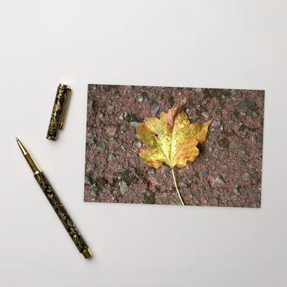Maple Leaf Botanical Art – Framed Matte Paper Poster, White Frame, Front View
