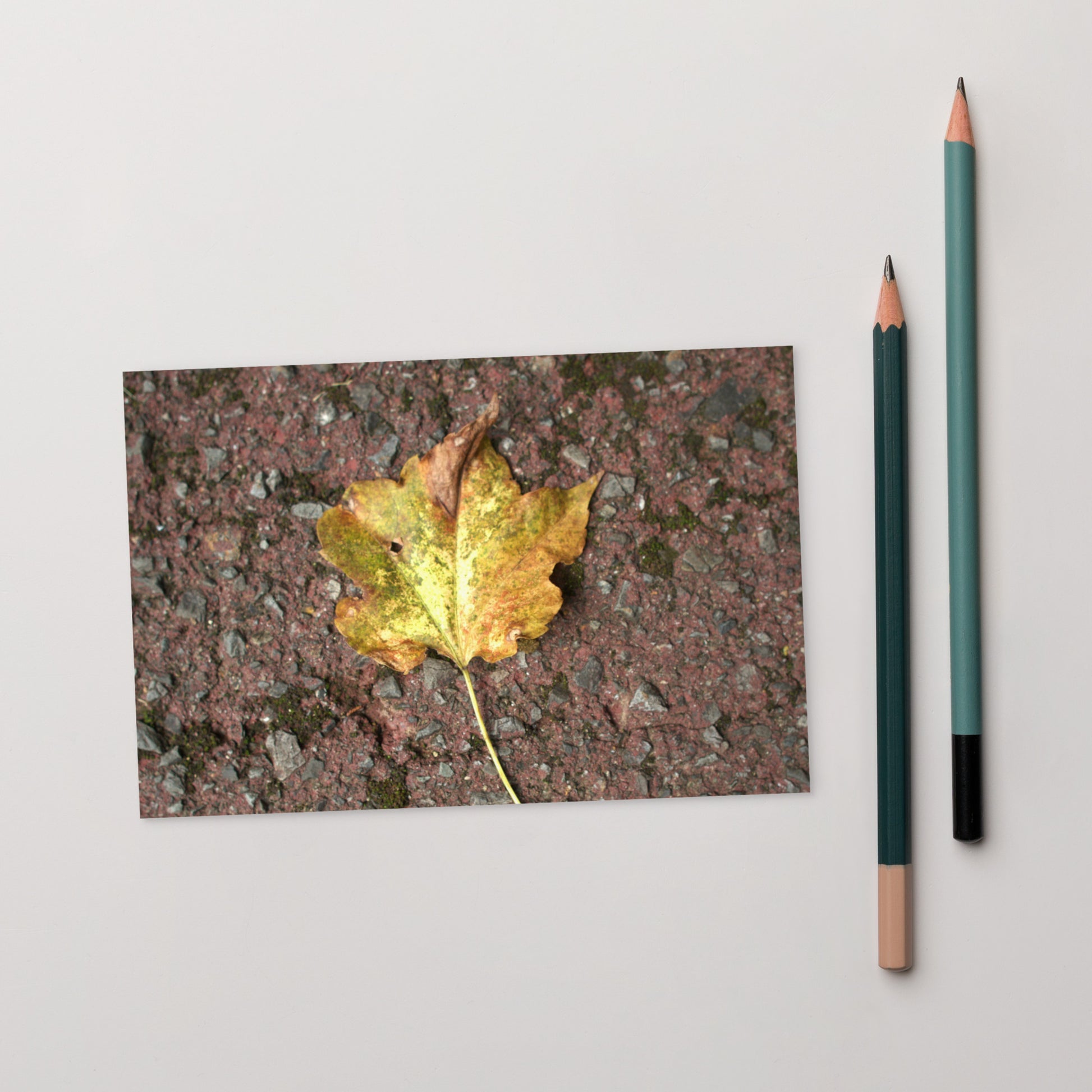 Maple Leaf Botanical Art – Framed Matte Paper Poster, White Frame, Front View