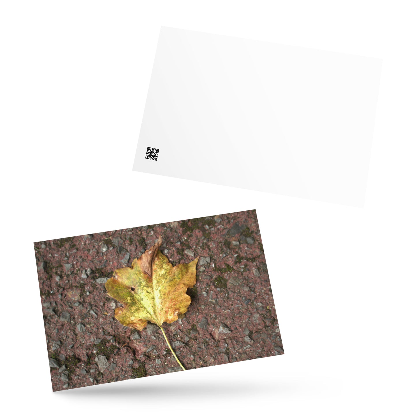 Maple Leaf Botanical Art – Framed Matte Paper Poster, White Frame, Front View