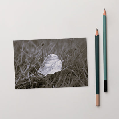 Yellow Fallen Leaf Botanical B&W Art – Premium Matte Postcard 4x6, Lifestyle View