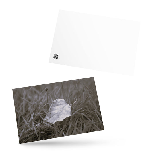 Yellow Fallen Leaf Botanical B&W Art – Premium Matte Postcard 4x6, Lifestyle View