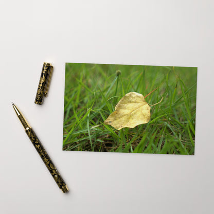 Yellow Fallen Leaf Botanical Art – Premium Matte Postcard 4x6, Lifestyle View