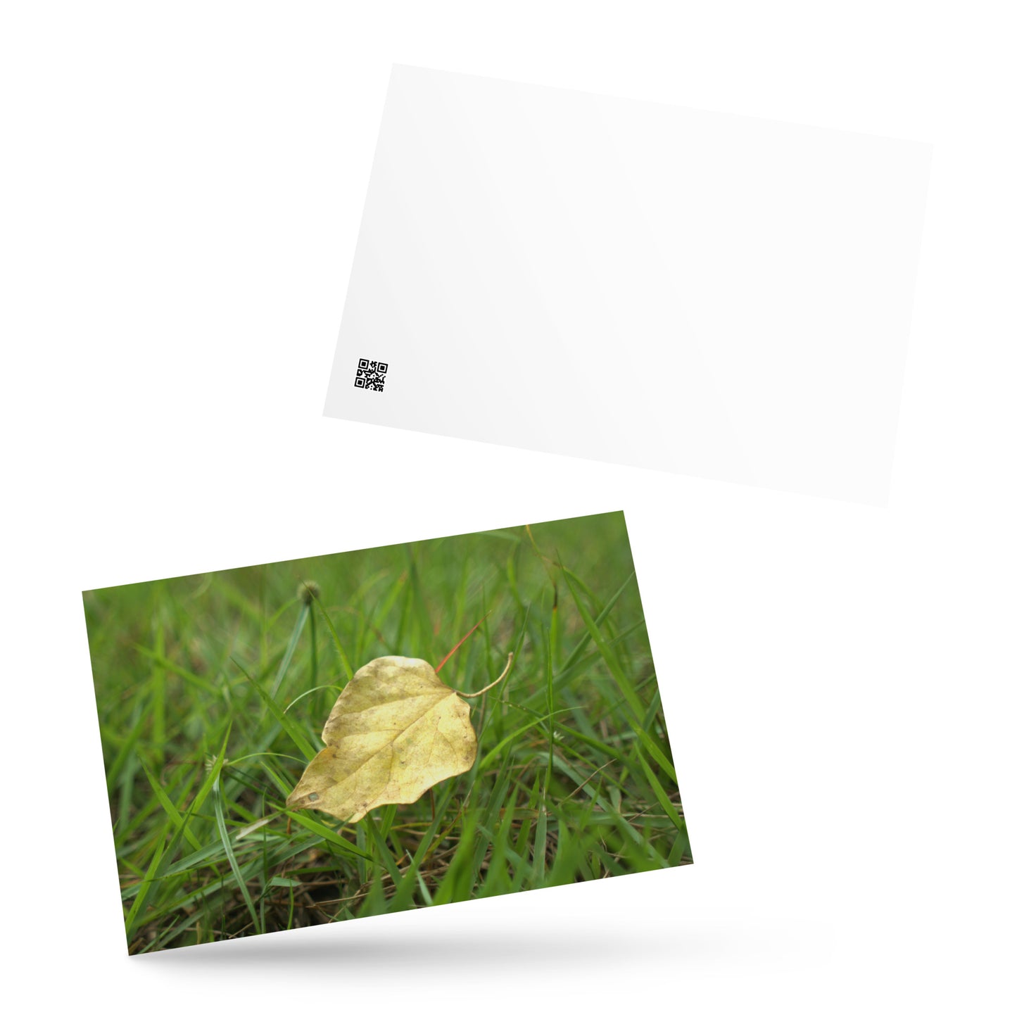 Yellow Fallen Leaf Botanical Art – Premium Matte Postcard 4x6, Lifestyle View