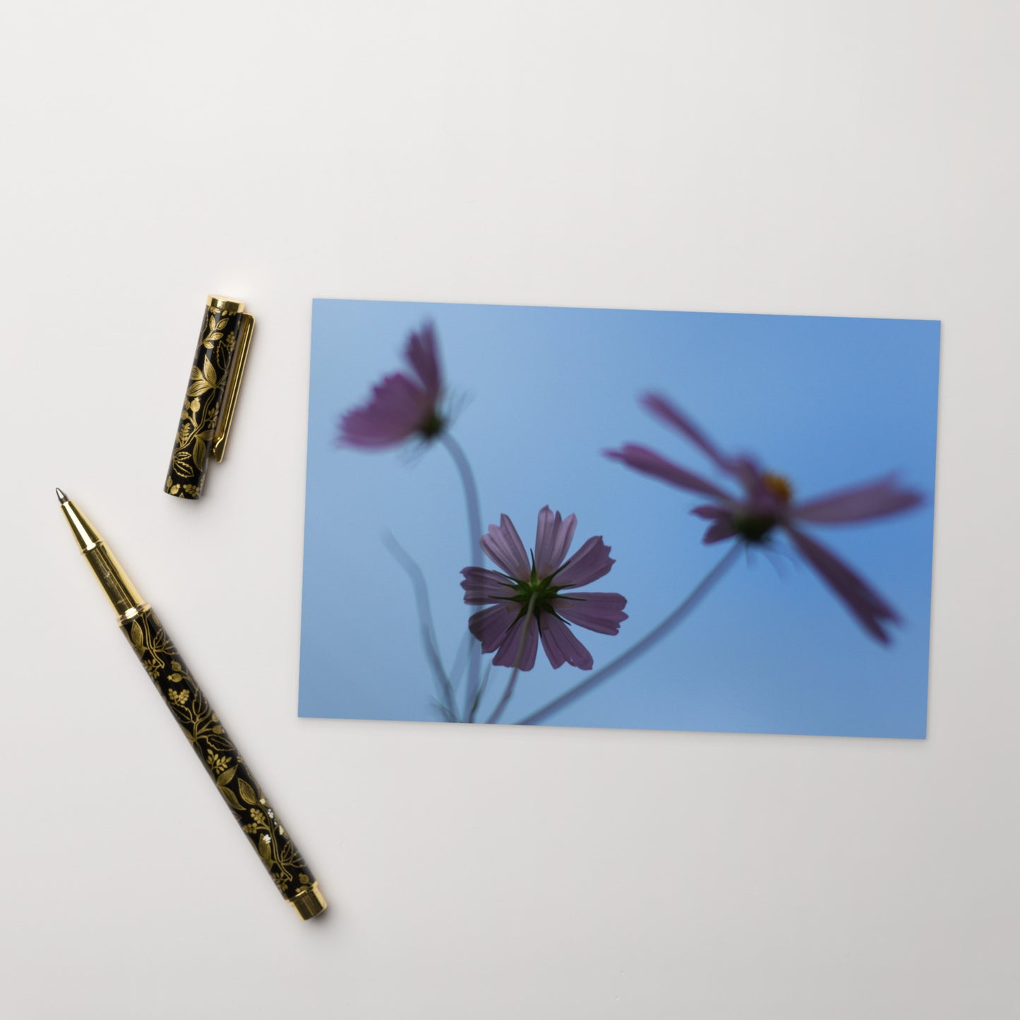 Three Cosmos Flowers Botanical Art – Premium Matte Postcard 4x6, Lifestyle View
