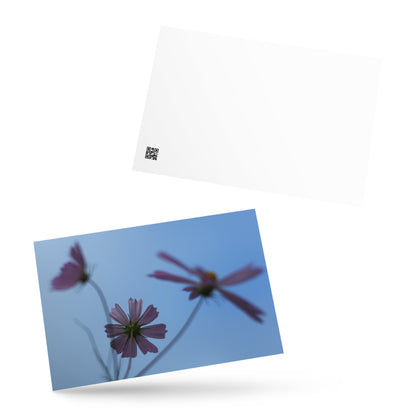 Three Cosmos Flowers Botanical Art – Premium Matte Postcard 4x6, Lifestyle View