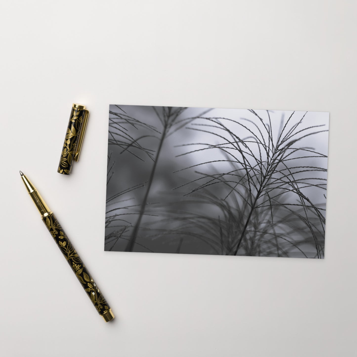 Silver Grass Cluster Botanical B&W Art – Premium Matte Postcard 4x6, Lifestyle View