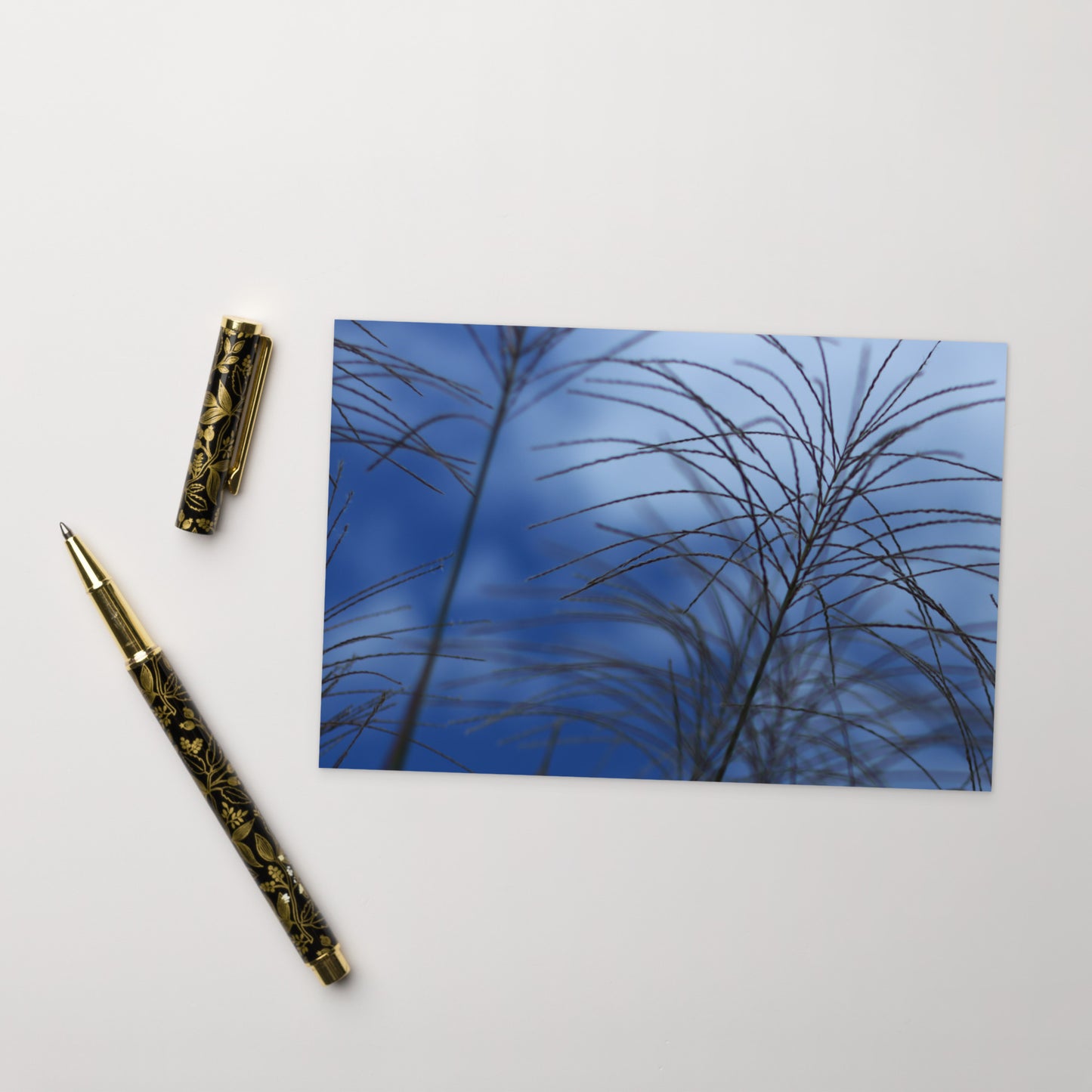Silver Grass Cluster Botanical Art – Premium Matte Postcard 4x6, Lifestyle View
