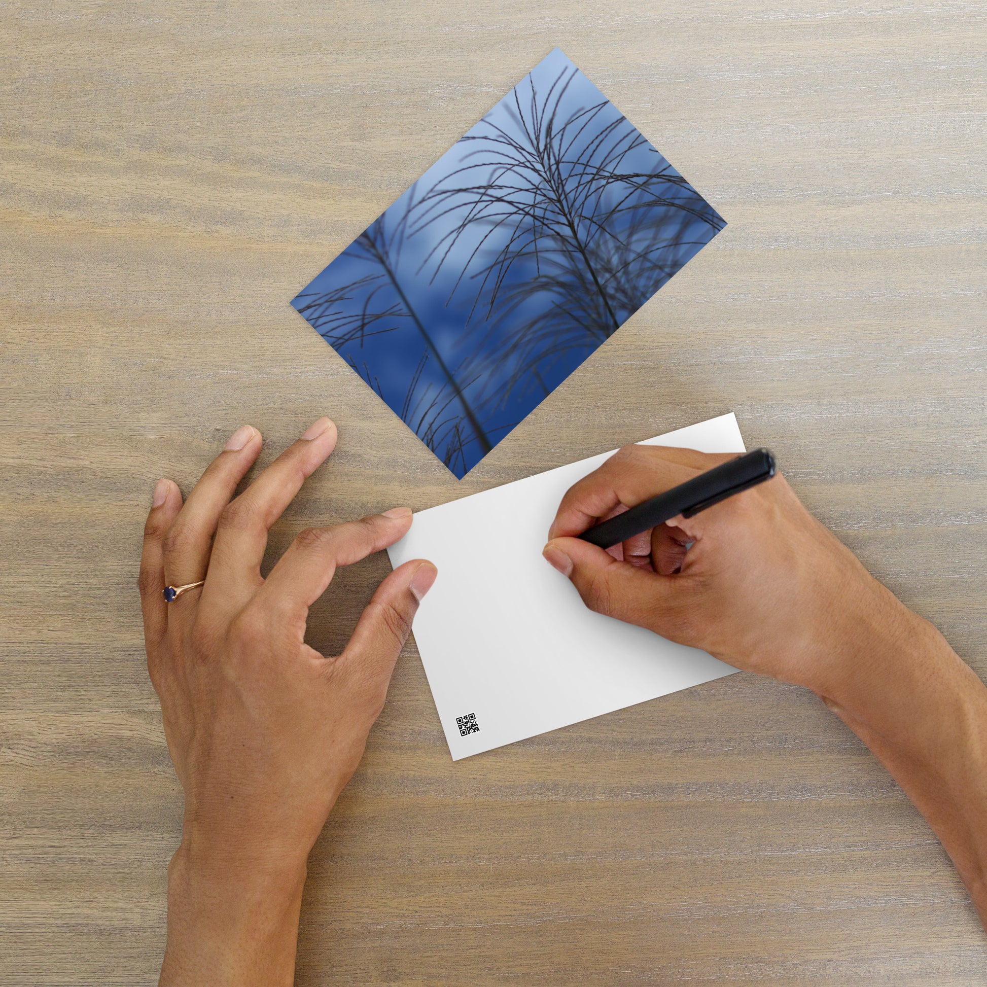 Silver Grass Cluster Botanical Art – Premium Matte Postcard 4x6, Lifestyle View