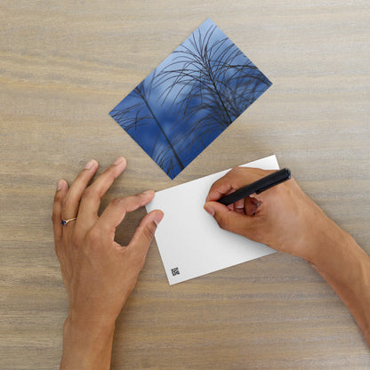 Silver Grass Cluster Botanical Art – Premium Matte Postcard 4x6, Lifestyle View