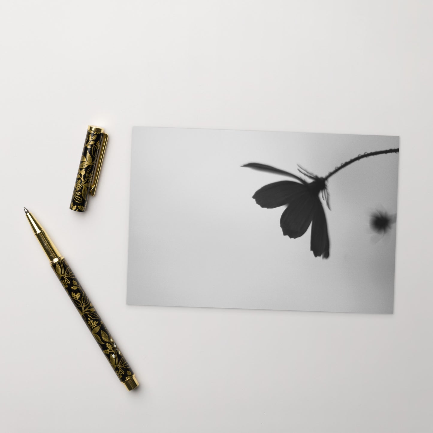 Cosmos Flower Botanical B&W Art – Premium Matte Postcard 4x6, Lifestyle View