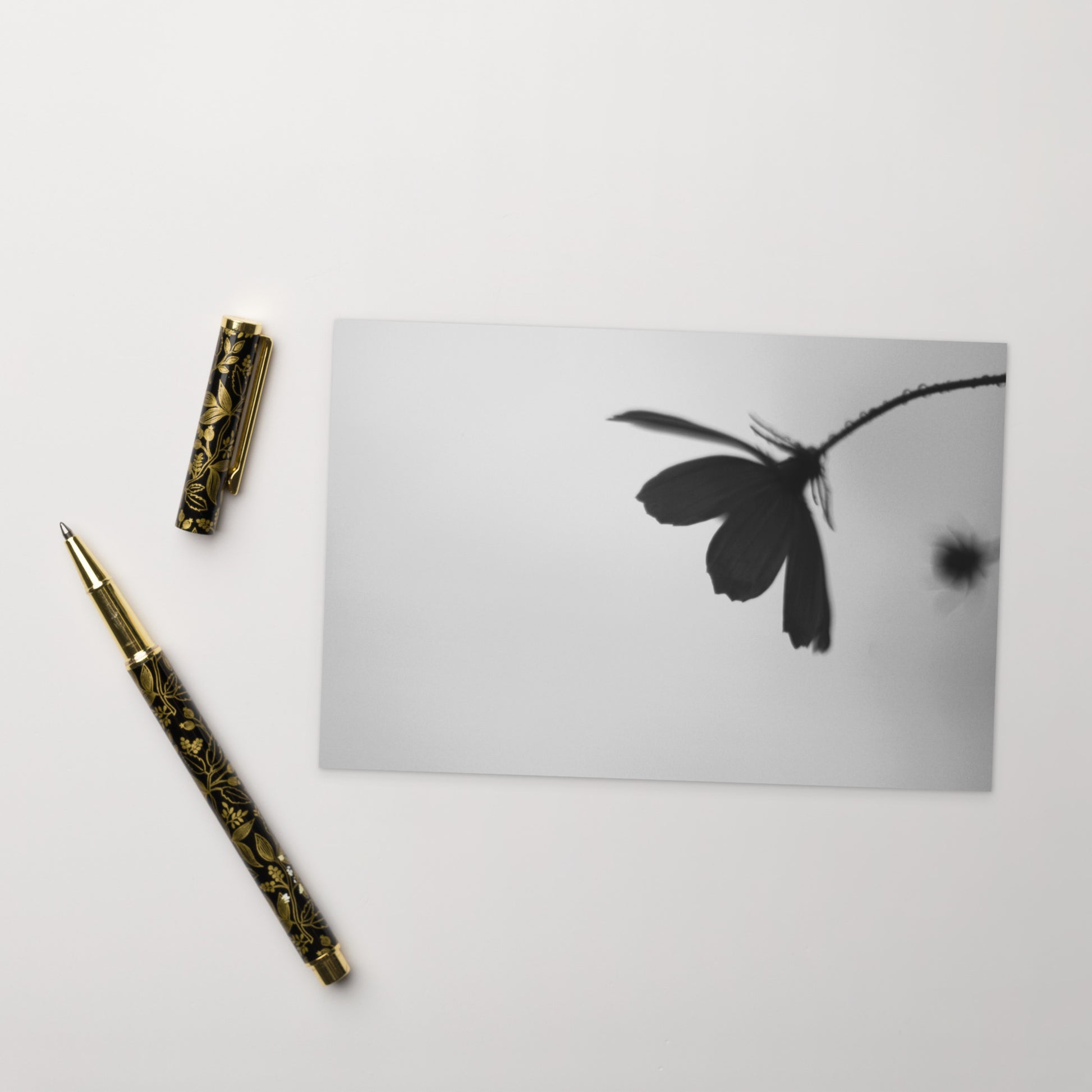 Cosmos Flower Botanical B&W Art – Premium Matte Postcard 4x6, Lifestyle View