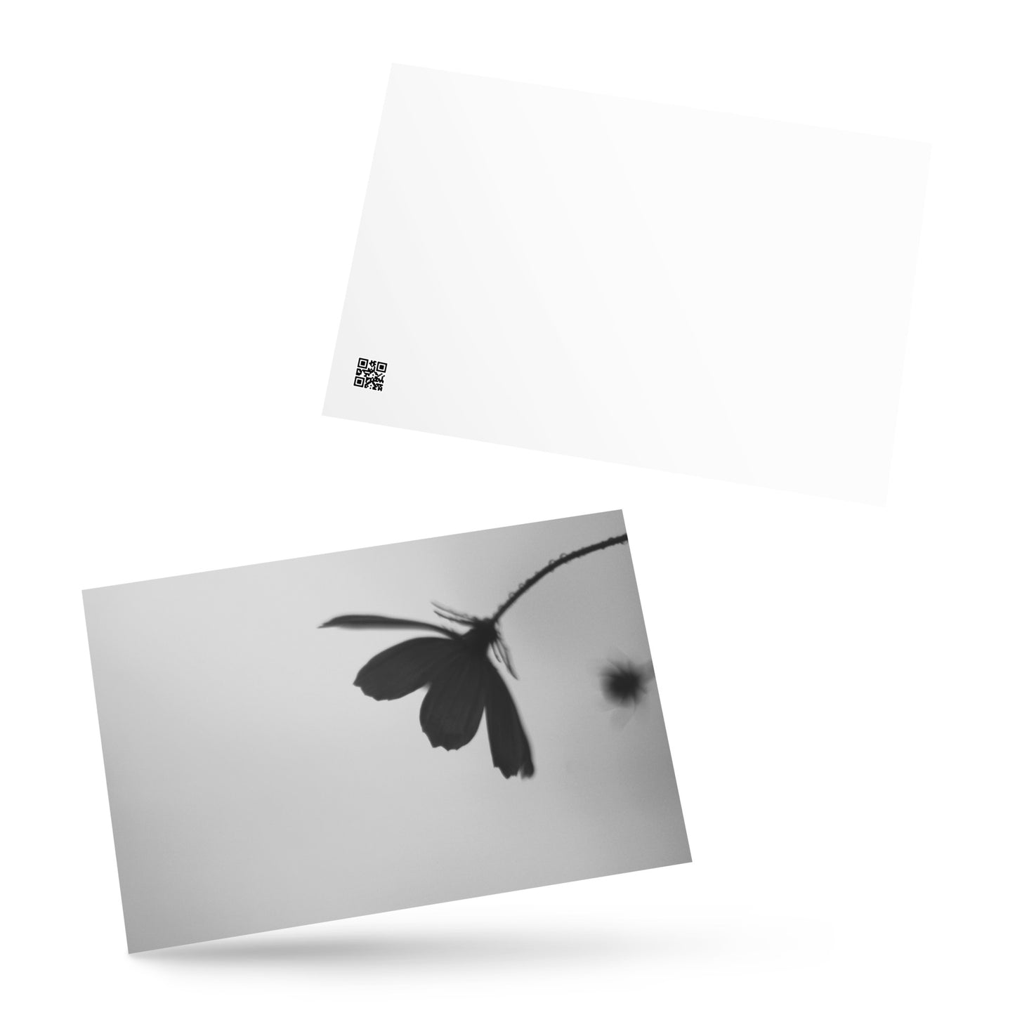 Cosmos Flower Botanical B&W Art – Premium Matte Postcard 4x6, Lifestyle View